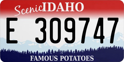 ID license plate E309747