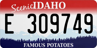 ID license plate E309749