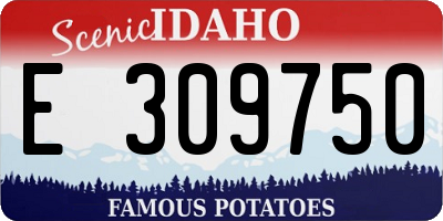 ID license plate E309750