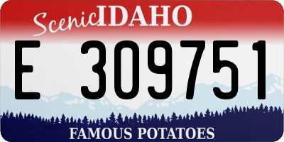 ID license plate E309751