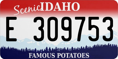 ID license plate E309753