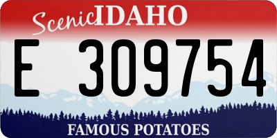 ID license plate E309754