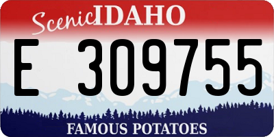 ID license plate E309755