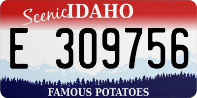 ID license plate E309756