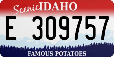 ID license plate E309757