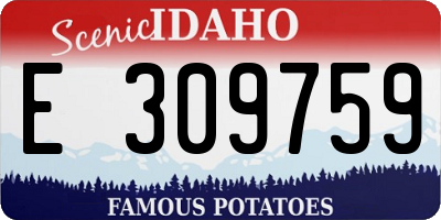 ID license plate E309759