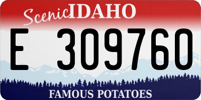 ID license plate E309760