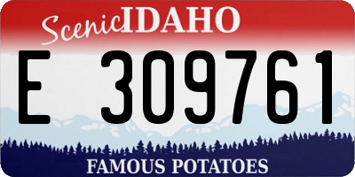 ID license plate E309761
