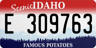 ID license plate E309763