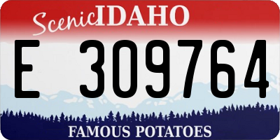 ID license plate E309764