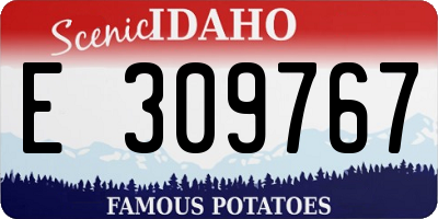 ID license plate E309767