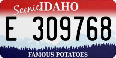 ID license plate E309768