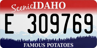 ID license plate E309769