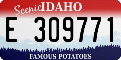 ID license plate E309771