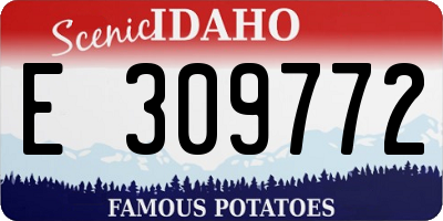ID license plate E309772