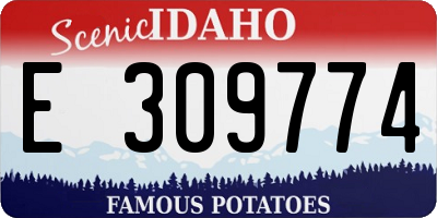 ID license plate E309774