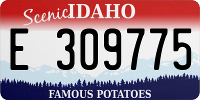 ID license plate E309775