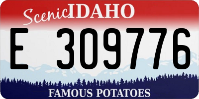 ID license plate E309776