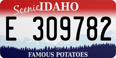 ID license plate E309782
