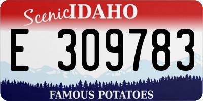 ID license plate E309783