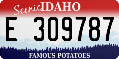 ID license plate E309787