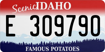 ID license plate E309790