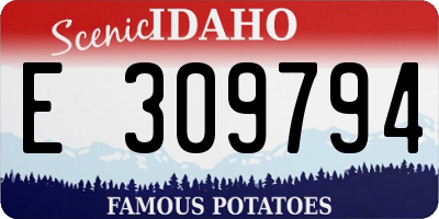 ID license plate E309794