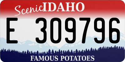 ID license plate E309796