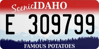 ID license plate E309799