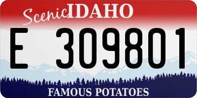 ID license plate E309801