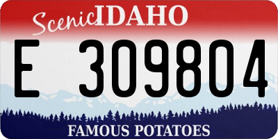 ID license plate E309804