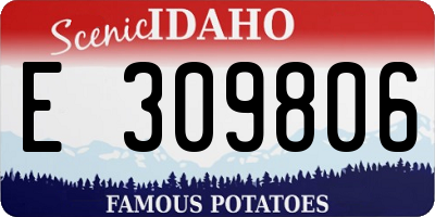 ID license plate E309806