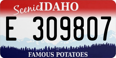 ID license plate E309807
