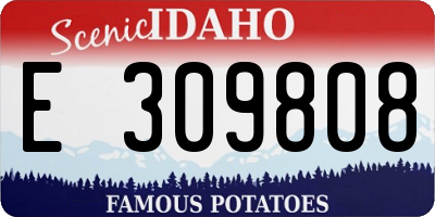 ID license plate E309808