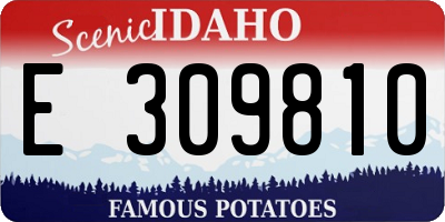 ID license plate E309810