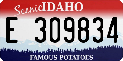 ID license plate E309834
