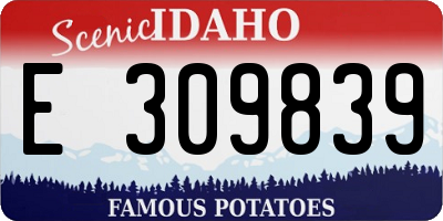 ID license plate E309839