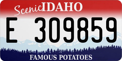 ID license plate E309859