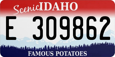 ID license plate E309862