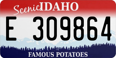ID license plate E309864