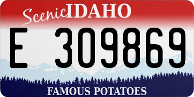 ID license plate E309869