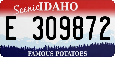 ID license plate E309872