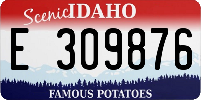 ID license plate E309876