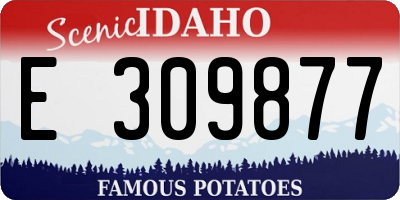 ID license plate E309877