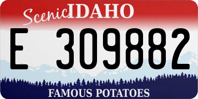 ID license plate E309882