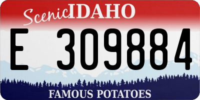 ID license plate E309884