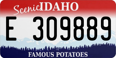 ID license plate E309889