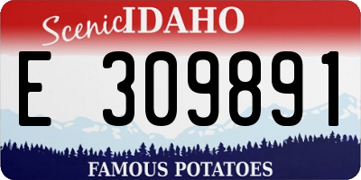 ID license plate E309891