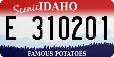 ID license plate E310201