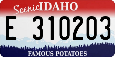 ID license plate E310203